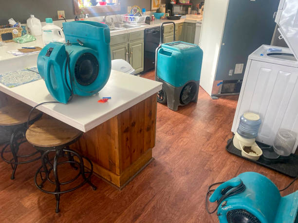 Best Water damage restoration near me  in Upland, IN